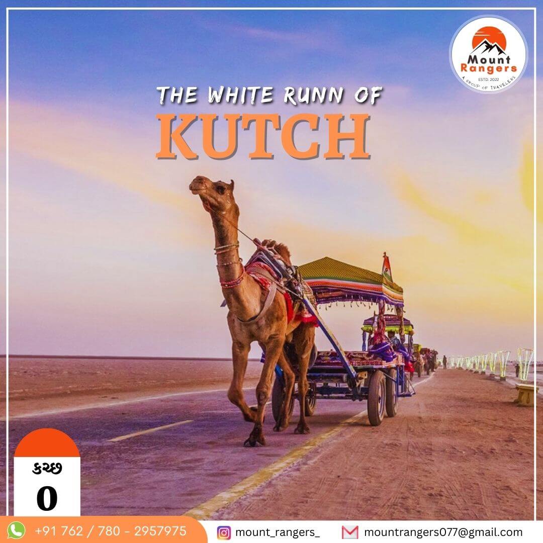Kutch Adventure - Rann Utsav